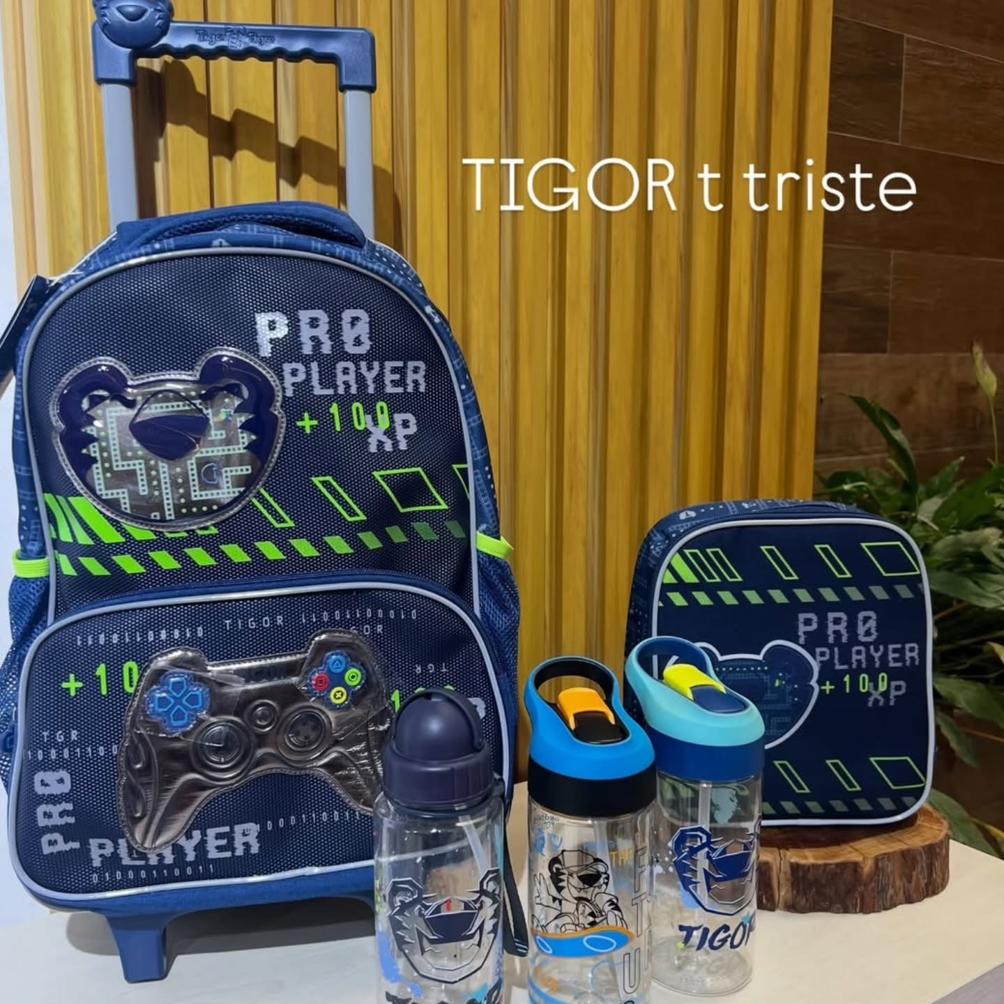 KIT ESCOLAR COMPLETO 🎒
